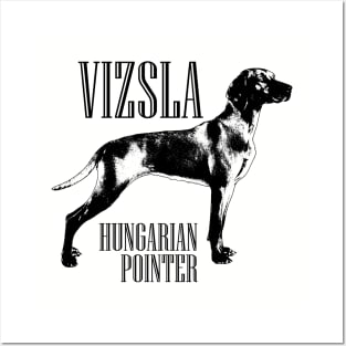 Vizsla  - Hungarian pointer Posters and Art